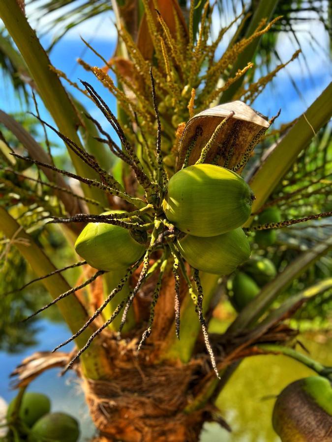 Twocans Resort Kohmak - Sha Koh Mak Eksteriør billede